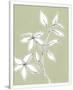 Gramercy White
