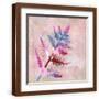 Brown Frame