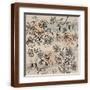 Brown Frame