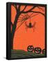 Essential Black