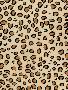 Laminate
