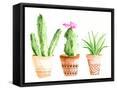 Framed Canvas