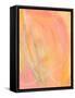 Framed Canvas