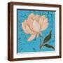 Brown Frame