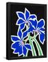 Essential Black