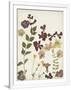 Gramercy White