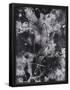 Essential Black