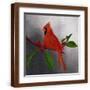 Brown Frame