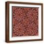 Brown Frame