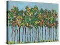 Stretched Canvas