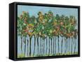 Framed Canvas