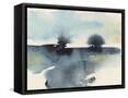 Framed Canvas