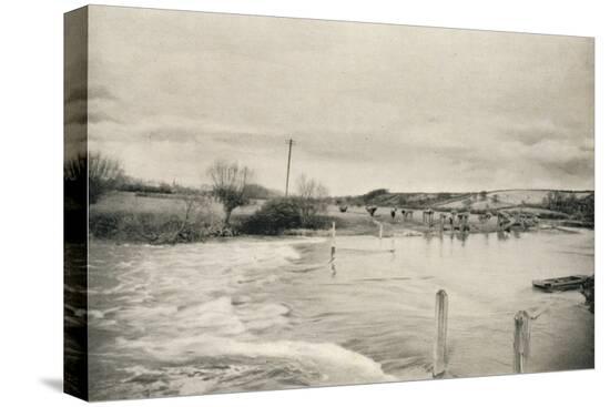 Stretched Canvas Print, , large
