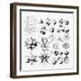 Regular Geometrical Solids of Various Types, 1619-null-Framed Giclee Print