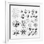 Gramercy White