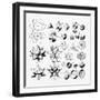 Black Frame