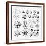 Brown Frame