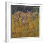 Rehe Im Schilf, 1909-Franz Marc-Framed Giclee Print