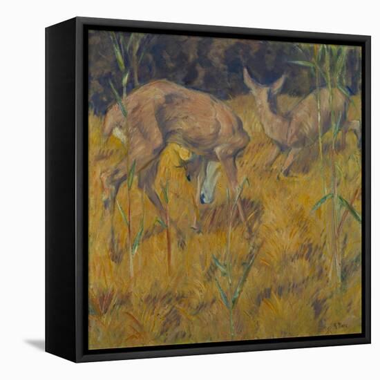 Rehe Im Schilf, 1909-Franz Marc-Framed Stretched Canvas