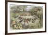 Rehearsal in Fairy Land, Illustration from "In Fairyland: a Series of Pictures from the Elf-World"-Richard Doyle-Framed Giclee Print