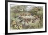 Rehearsal in Fairy Land, Illustration from "In Fairyland: a Series of Pictures from the Elf-World"-Richard Doyle-Framed Giclee Print