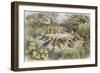 Rehearsal in Fairy Land, Illustration from "In Fairyland: a Series of Pictures from the Elf-World"-Richard Doyle-Framed Giclee Print