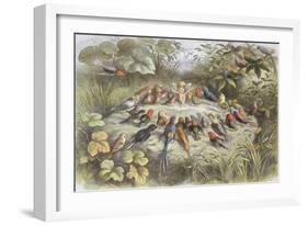 Rehearsal in Fairy Land, Illustration from "In Fairyland: a Series of Pictures from the Elf-World"-Richard Doyle-Framed Giclee Print