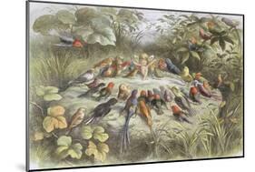 Rehearsal in Fairy Land, Illustration from "In Fairyland: a Series of Pictures from the Elf-World"-Richard Doyle-Mounted Giclee Print