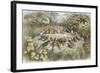 Rehearsal in Fairy Land, Illustration from "In Fairyland: a Series of Pictures from the Elf-World"-Richard Doyle-Framed Giclee Print