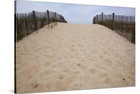 Rehobeth Beach, Delaware-Paul Souders-Stretched Canvas