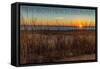 Rehoboth Beach, Delaware - Beach and Sunrise-Lantern Press-Framed Stretched Canvas