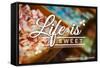 Rehoboth Beach, Delaware - Life is Sweet - Rows of Candy-Lantern Press-Framed Stretched Canvas