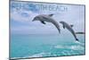 Rehoboth, Delaware - Jumping Dolphins - Photography-Lantern Press-Mounted Art Print