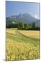 Rei�ofel, Gailtaler Alps, Carinthia, Austria-Rainer Mirau-Mounted Photographic Print