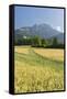 Rei�ofel, Gailtaler Alps, Carinthia, Austria-Rainer Mirau-Framed Stretched Canvas