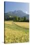 Rei�ofel, Gailtaler Alps, Carinthia, Austria-Rainer Mirau-Stretched Canvas