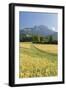 Rei�ofel, Gailtaler Alps, Carinthia, Austria-Rainer Mirau-Framed Photographic Print