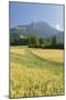 Rei�ofel, Gailtaler Alps, Carinthia, Austria-Rainer Mirau-Mounted Photographic Print