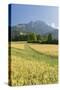 Rei�ofel, Gailtaler Alps, Carinthia, Austria-Rainer Mirau-Stretched Canvas