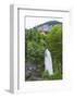 Reichenbach Falls, Fictional Location of Sherlock Holmes' Death, Meiringen, Switzerland, Europe-Christian Kober-Framed Photographic Print