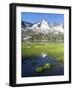 Reichenspitz mountains and Lake Gerlos, Hohe Tauern NP, Tyrol, Austria-Martin Zwick-Framed Photographic Print