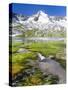 Reichenspitz mountains and Lake Gerlos, Hohe Tauern NP, Tyrol, Austria-Martin Zwick-Stretched Canvas