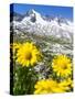 Reichenspitz mountains and Lake Gerlos, Hohe Tauern NP, Tyrol, Austria-Martin Zwick-Stretched Canvas