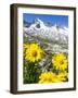 Reichenspitz mountains and Lake Gerlos, Hohe Tauern NP, Tyrol, Austria-Martin Zwick-Framed Photographic Print