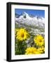 Reichenspitz mountains and Lake Gerlos, Hohe Tauern NP, Tyrol, Austria-Martin Zwick-Framed Photographic Print