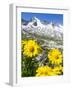 Reichenspitz mountains and Lake Gerlos, Hohe Tauern NP, Tyrol, Austria-Martin Zwick-Framed Photographic Print