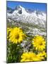 Reichenspitz mountains and Lake Gerlos, Hohe Tauern NP, Tyrol, Austria-Martin Zwick-Mounted Photographic Print