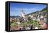 Reichental, Black Forest, Baden Wurttemberg, Germany, Europe-Markus-Framed Stretched Canvas