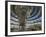 Reichstag Building, Designed by Sir Norman Foster, Berlin, Germany-Neale Clarke-Framed Photographic Print