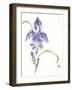 Reigning Prince-Nan Rae-Framed Art Print